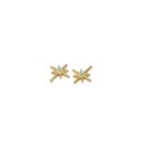 Lucky star golden charm
